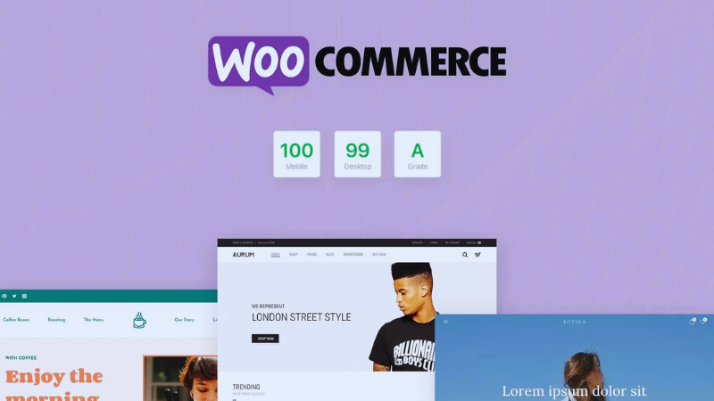 Top WooCommerce WordPress Themes